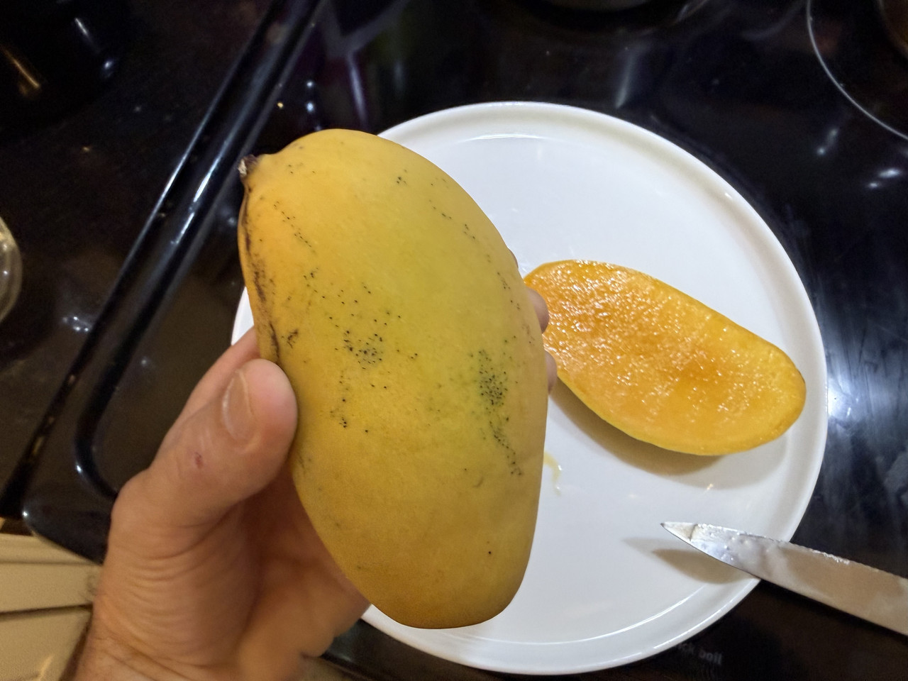 Mango OS 526a