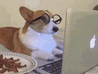 daily-gifdump-3377-06.gif