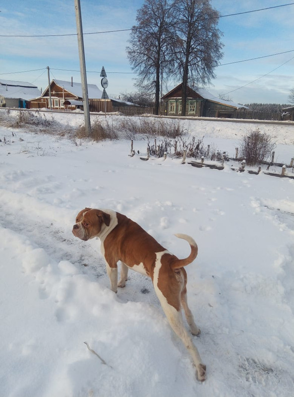 4D528DF0-8ADF-490A-BF14-AB168A2DEC6D