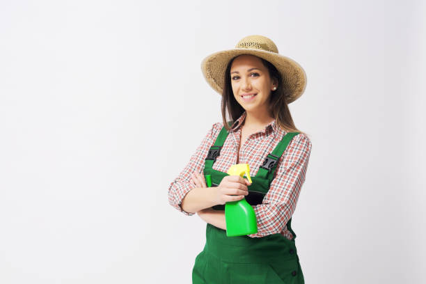 Bed Bug Heat Treatment