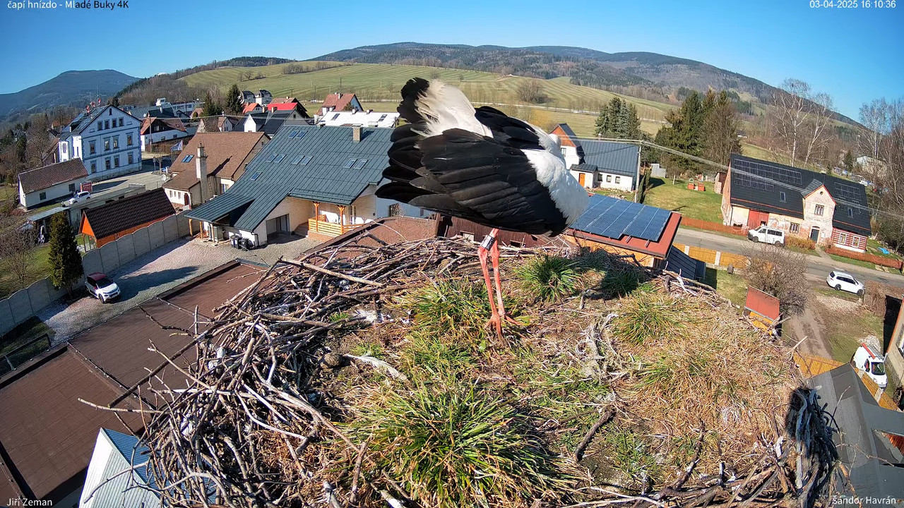 Tiešraides kamera — Mladé Buky — stārķa ligzda 4K 8-14-42 screenshot