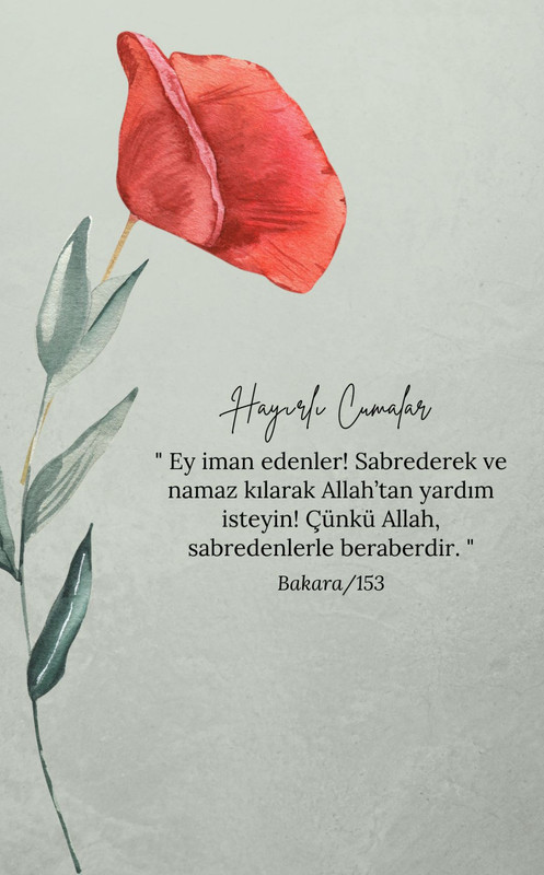 resim