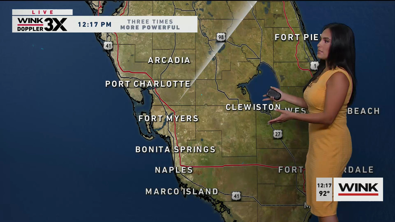 06.15 - 17.00.00 - The WINK Noon News. Midday news update..ts_snapshot_24.27.798