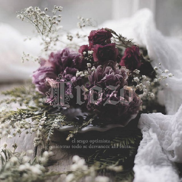 A8D52979-D2E5-45F0-9279-5331635790C3