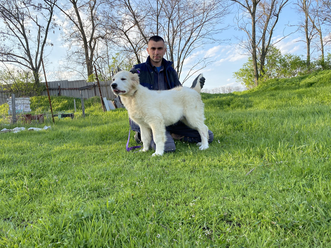 876D6196-A8F7-4669-AD7F-4FF12CED4572