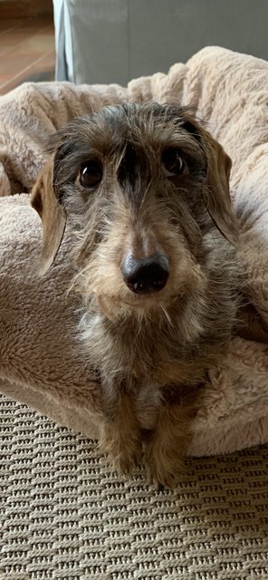 [Image: A32409-F3-DB3-E-459-A-A21-B-B6381-B532-DE8.jpg]