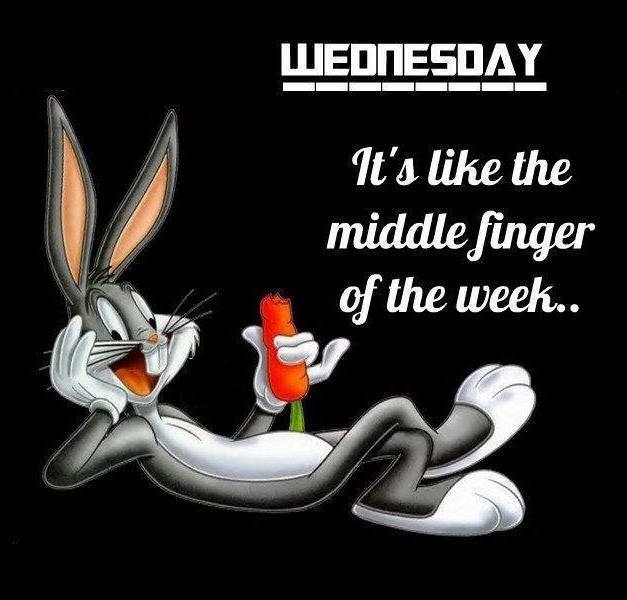 86133-Wednesday.jpg