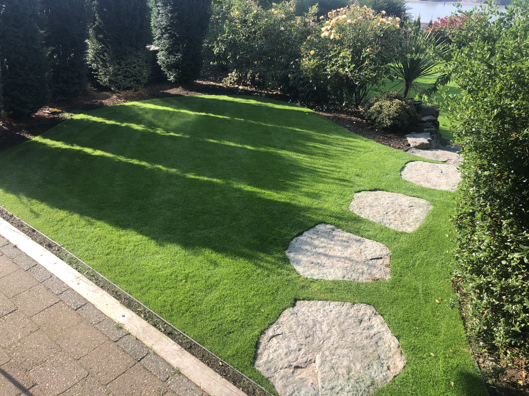 9DB78AE0-927A-4A5C-A7BE-2A6B6F40909E