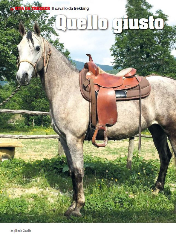 Il Mio Cav (Nov-Dic 2023) 5