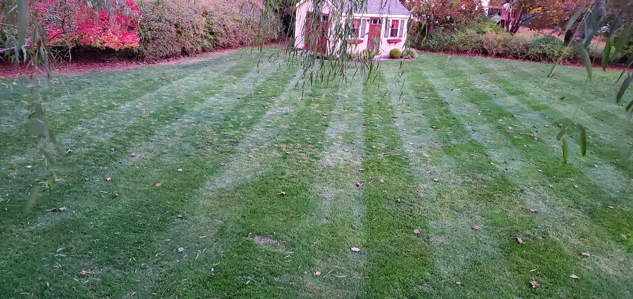 2020-11-06 16.45.52-1