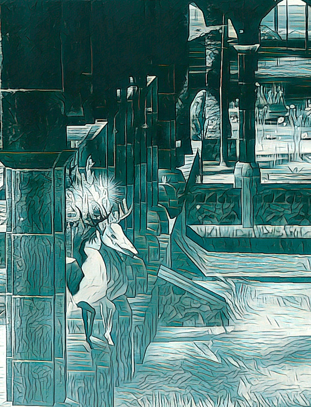 20250312-224006