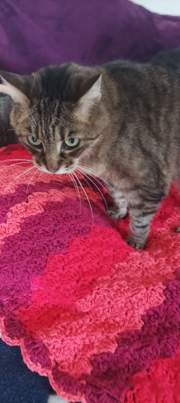 IMG_20250419_110714 (1)