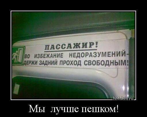 https://i.postimg.cc/HksrVg4W/10898121-567464570054765-8632473796139480990-n.jpg