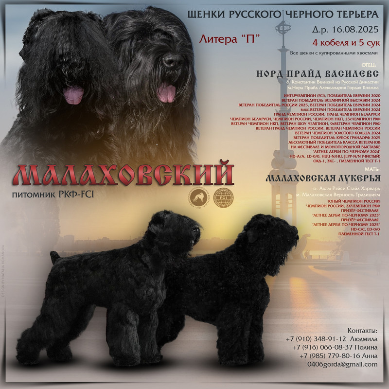 1pgKUH1CcxZ0GcYyecE_rFlUWVNddyf4jCHamTRpSIlIXTlE1-EkLkgn8t4XumrDEzsTAj-S4pEKuKA-IoXE4l79