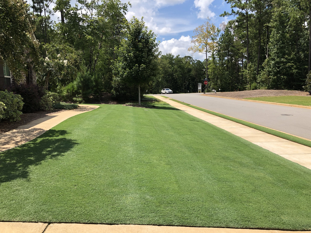 C7479F38-5E49-4F77-97E1-C53619BFDE76