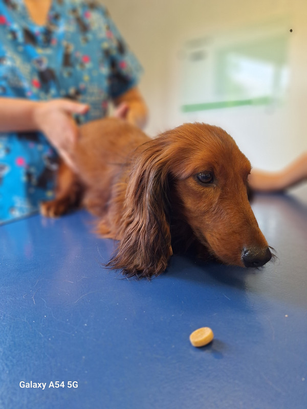 [Image: 20240724-174008.jpg]