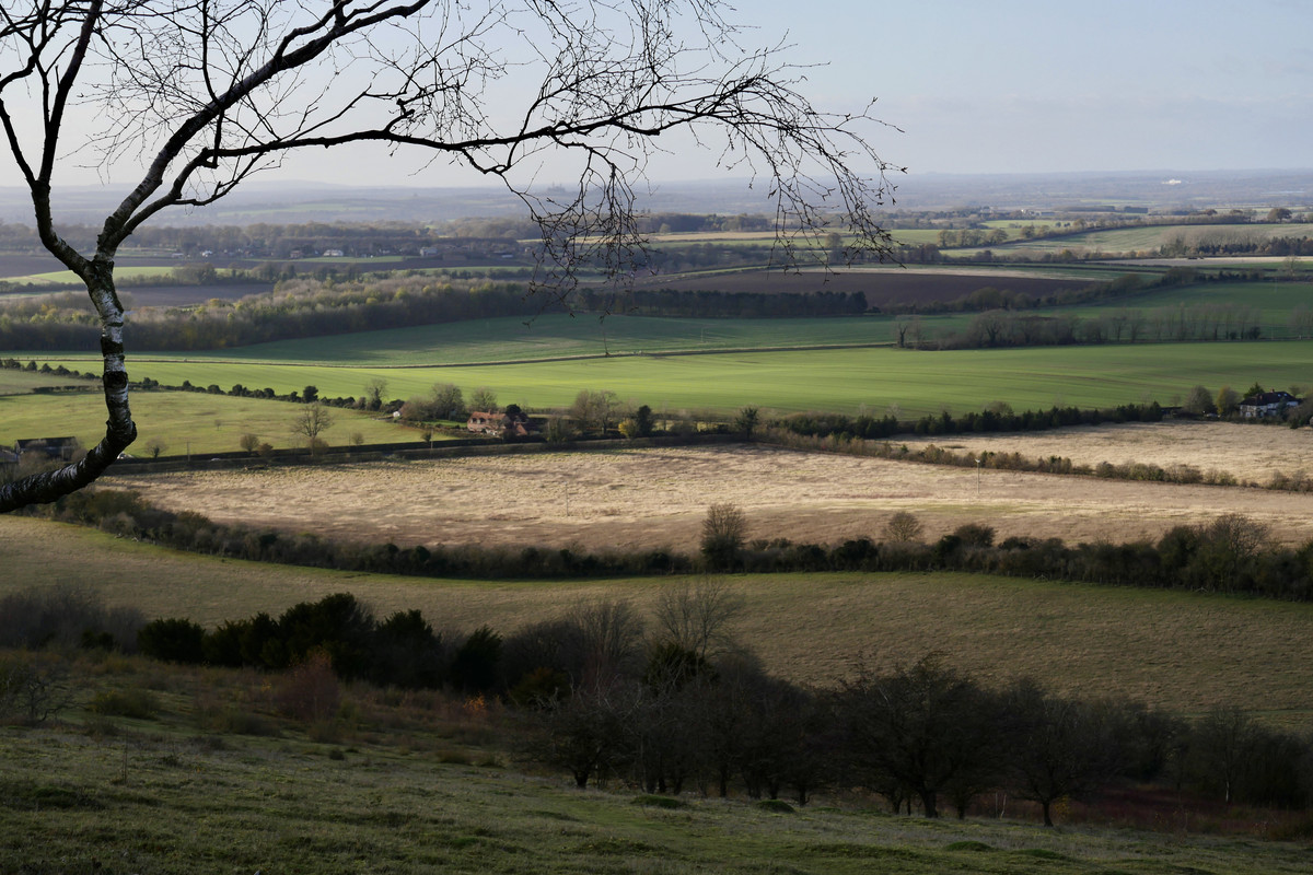 31782921-E324-48D6-856B-250C788CFC30