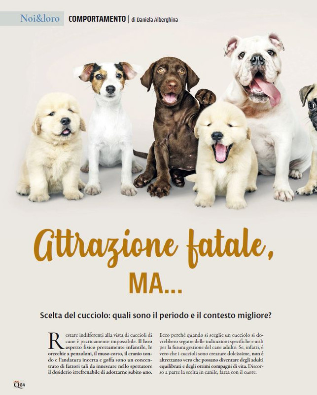 QuattroZampe Mar 2023 (9)