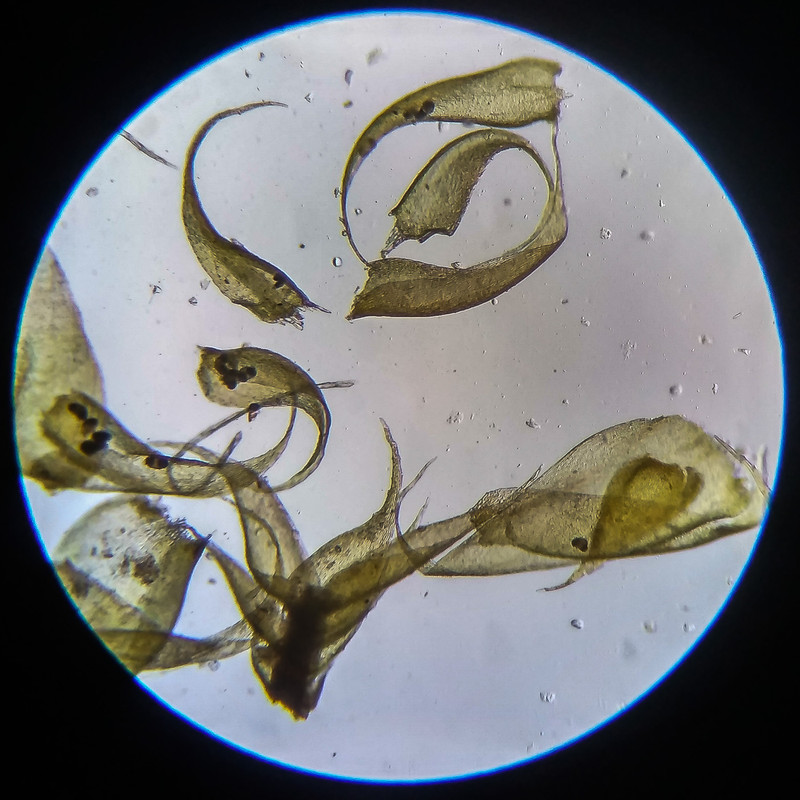 IMG 20250614 203941 HDR