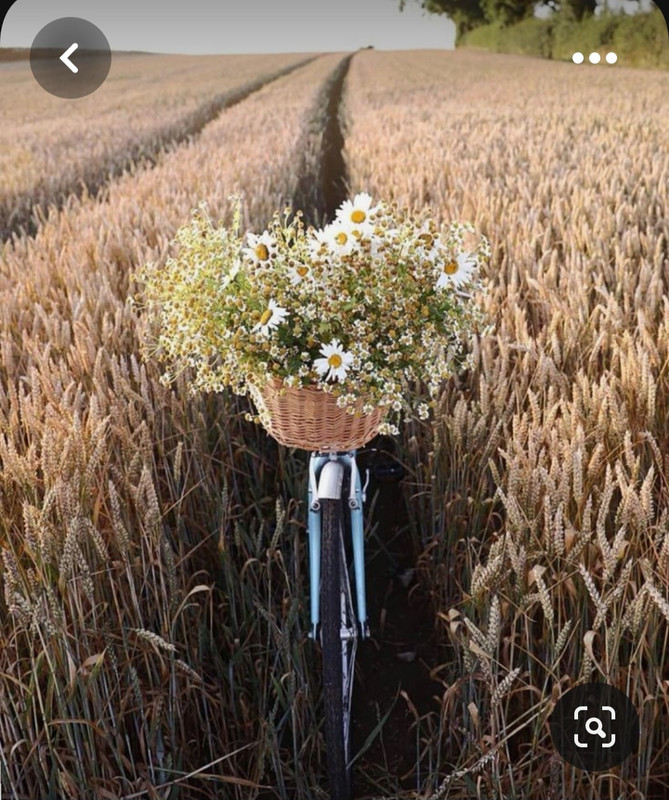 Screenshot_20230512_223235_Pinterest