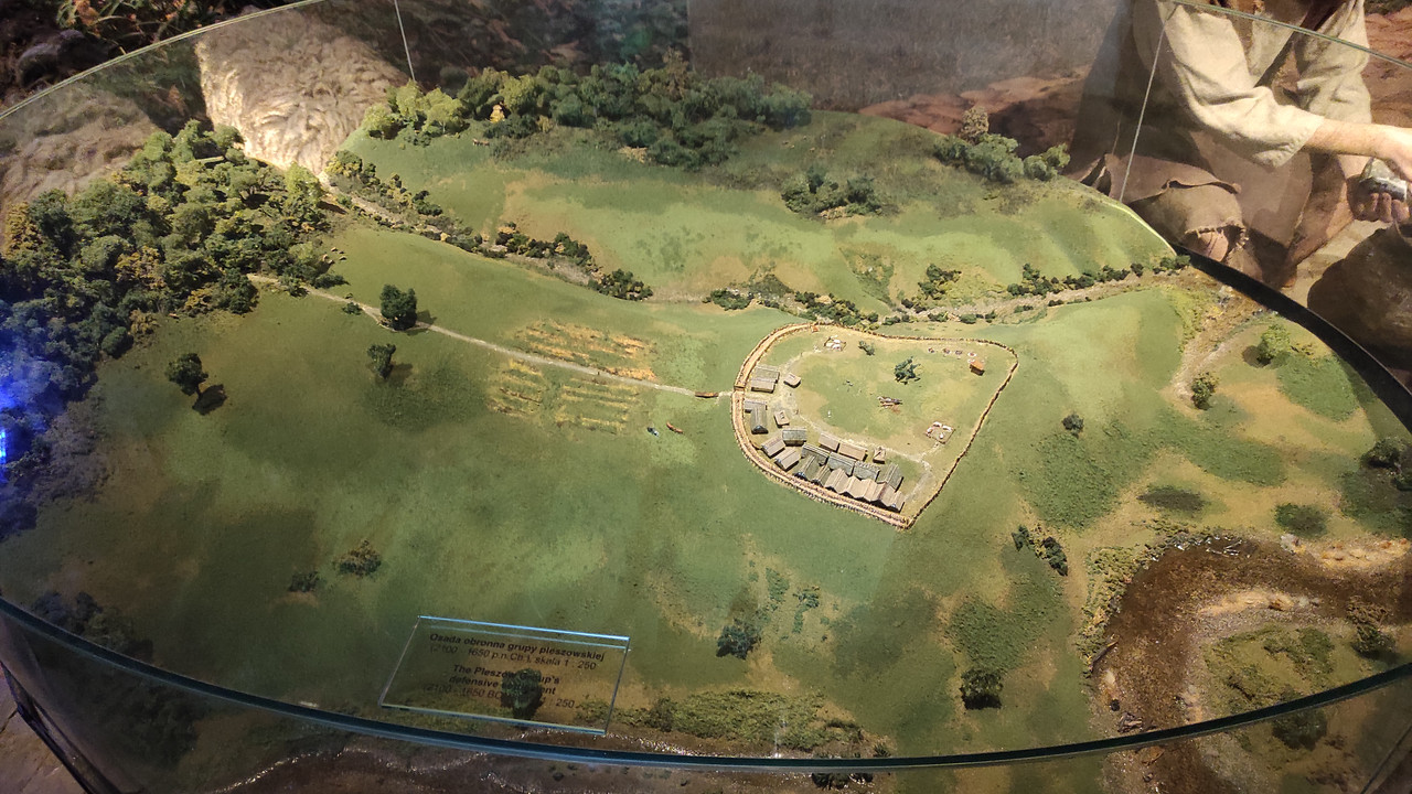 05.04 - IMG_20220617_144027 (Czesio1)