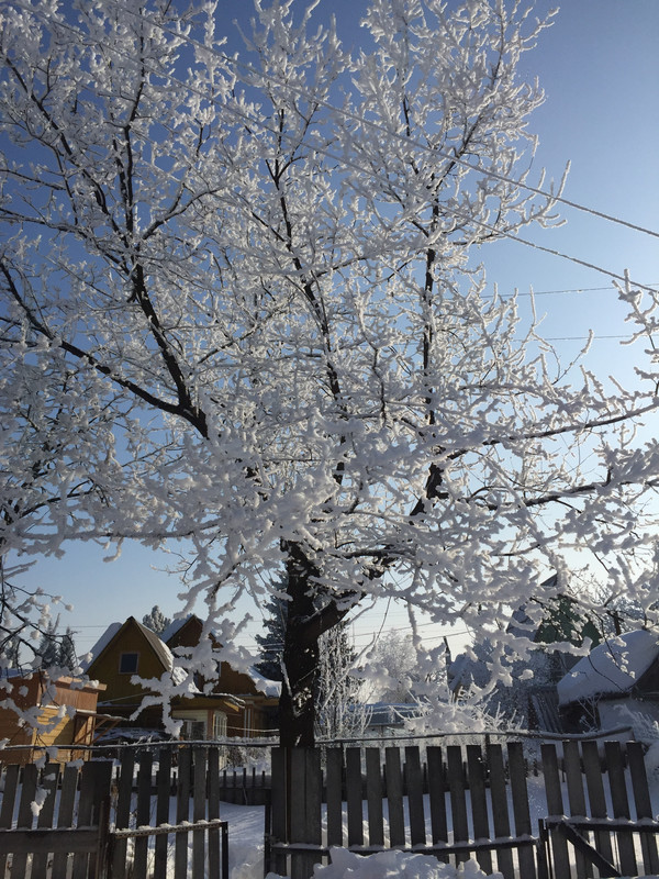 253BD493-2A8A-46E6-B2F2-B53E1B6659D3