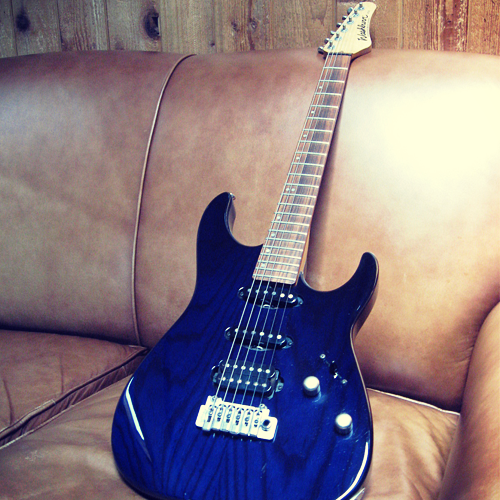 washburn-mg100pro-01