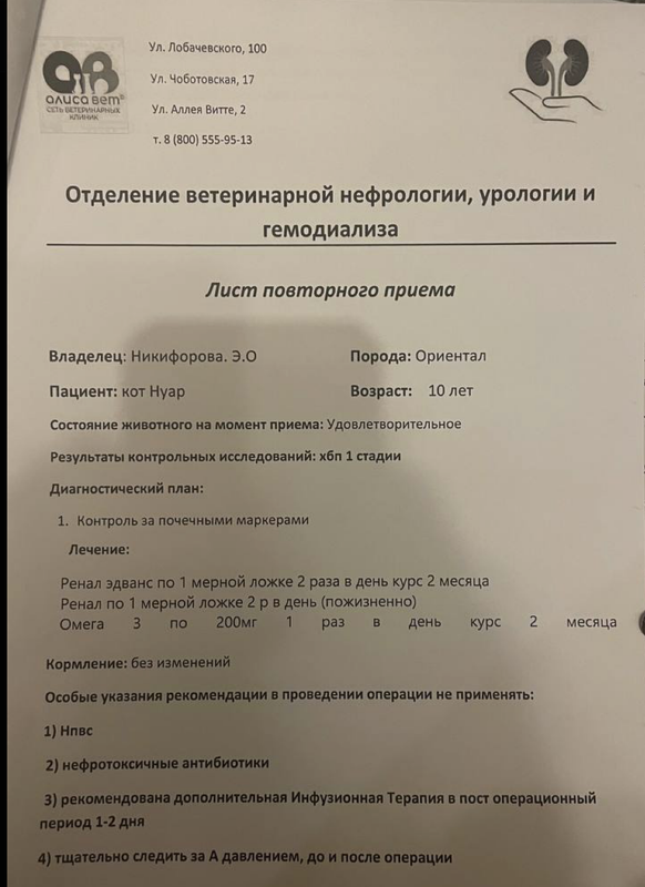 нефролог заключение