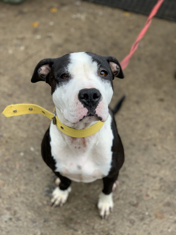 EBEACFDF-927E-462F-AA00-64F21B4EBC7B