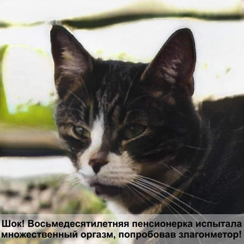 капли инспектор для кошек