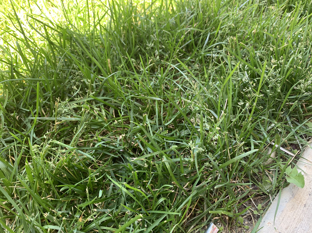 B928170-D-3409-4070-80-AE-A69096527-B48