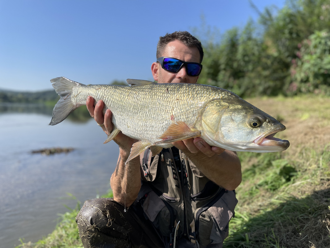 AE92E699-0D48-4C6B-8D5B-91FDE99F59BE