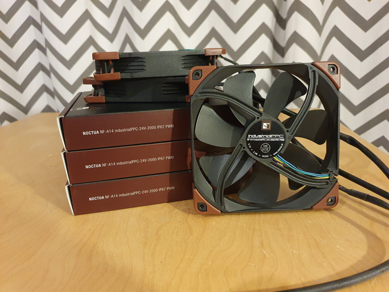 Noctua (10)