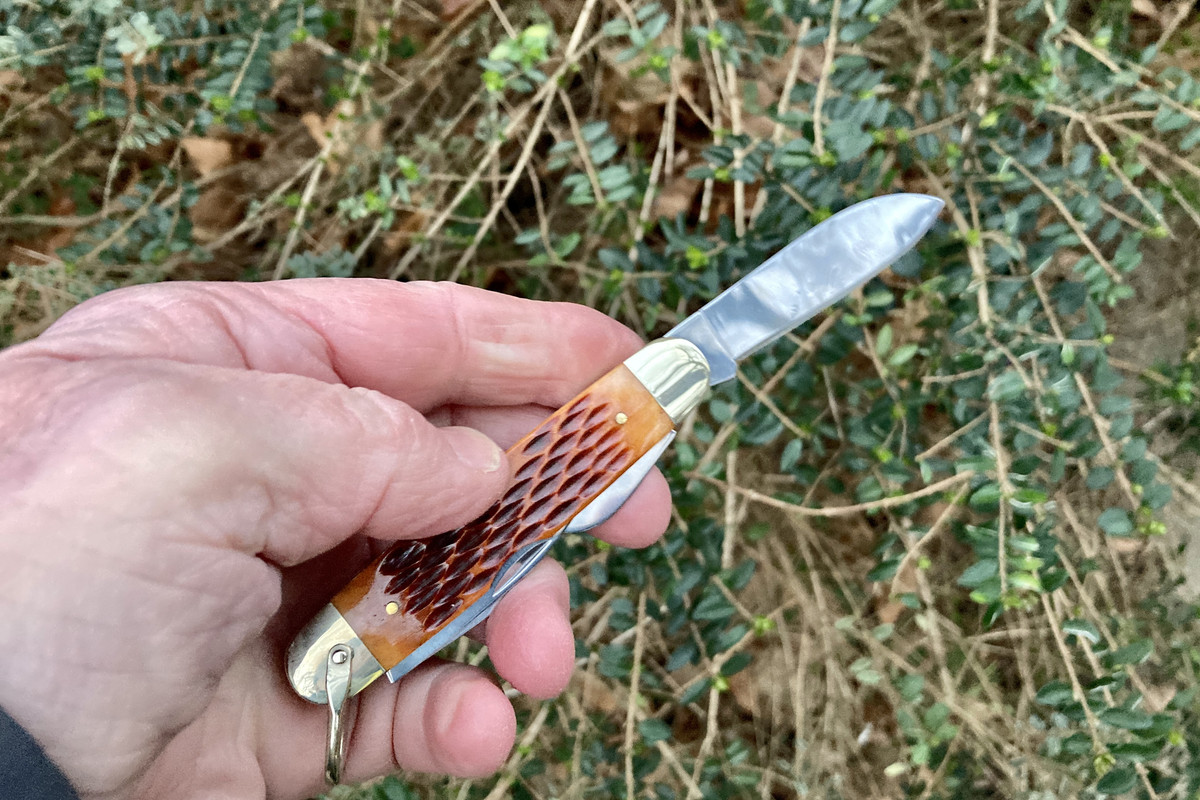 54FF4984-B568-4DFD-8FF4-39A353B26A37