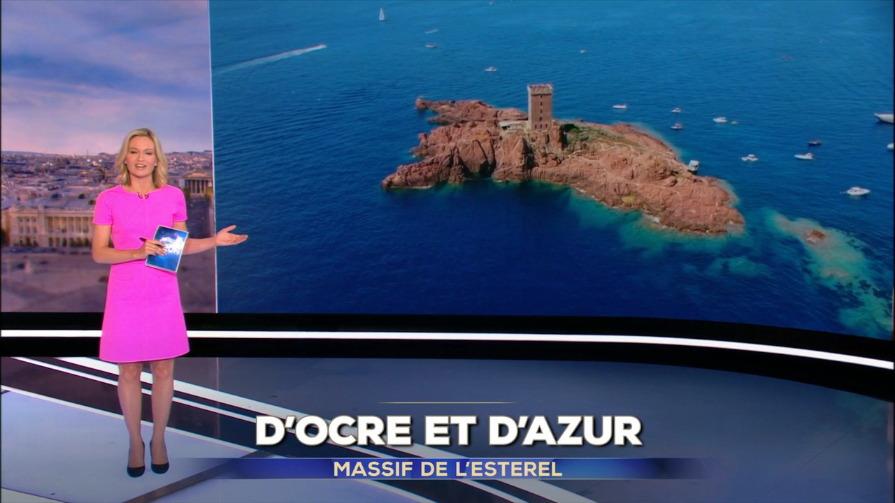 2021-08-14_20_00_TF1_Le-20h.mp4_snapshot_00.04.29.646