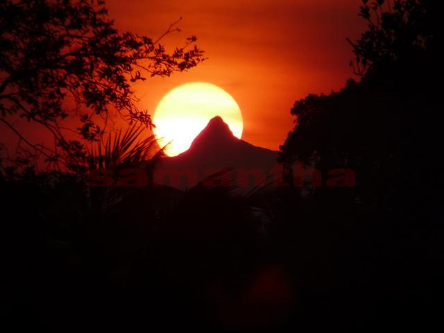 P11002421.jpg