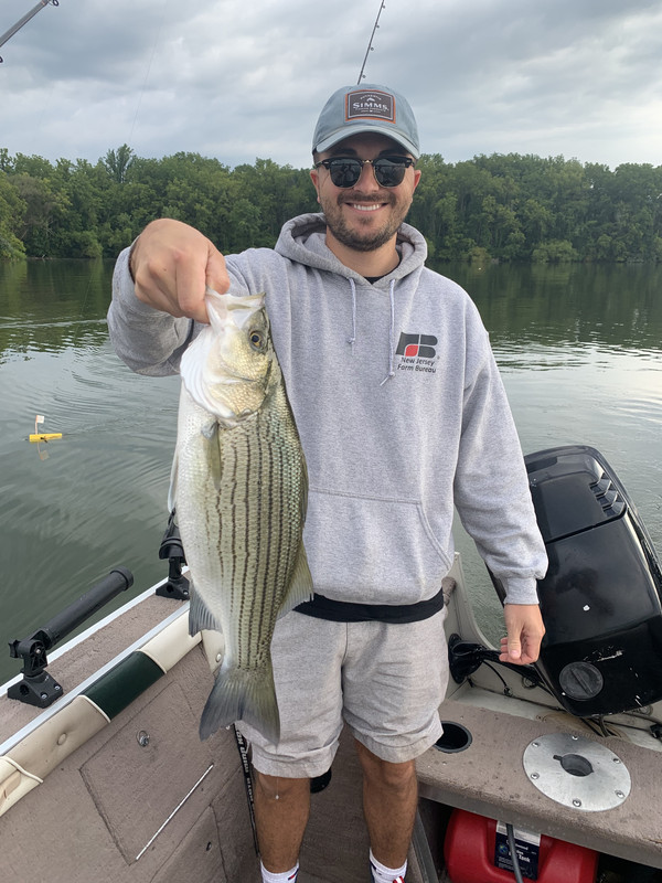 DD67E67B-41C9-47A9-990B-357753DCF9A2