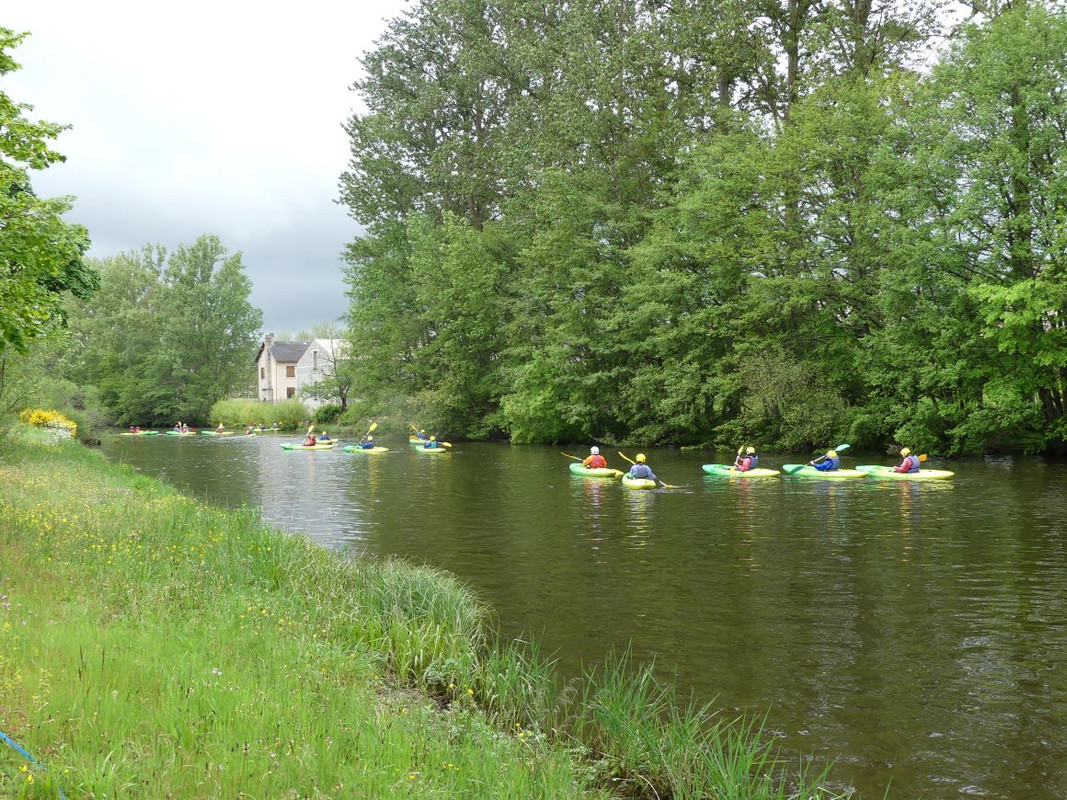 P1090647.jpg
