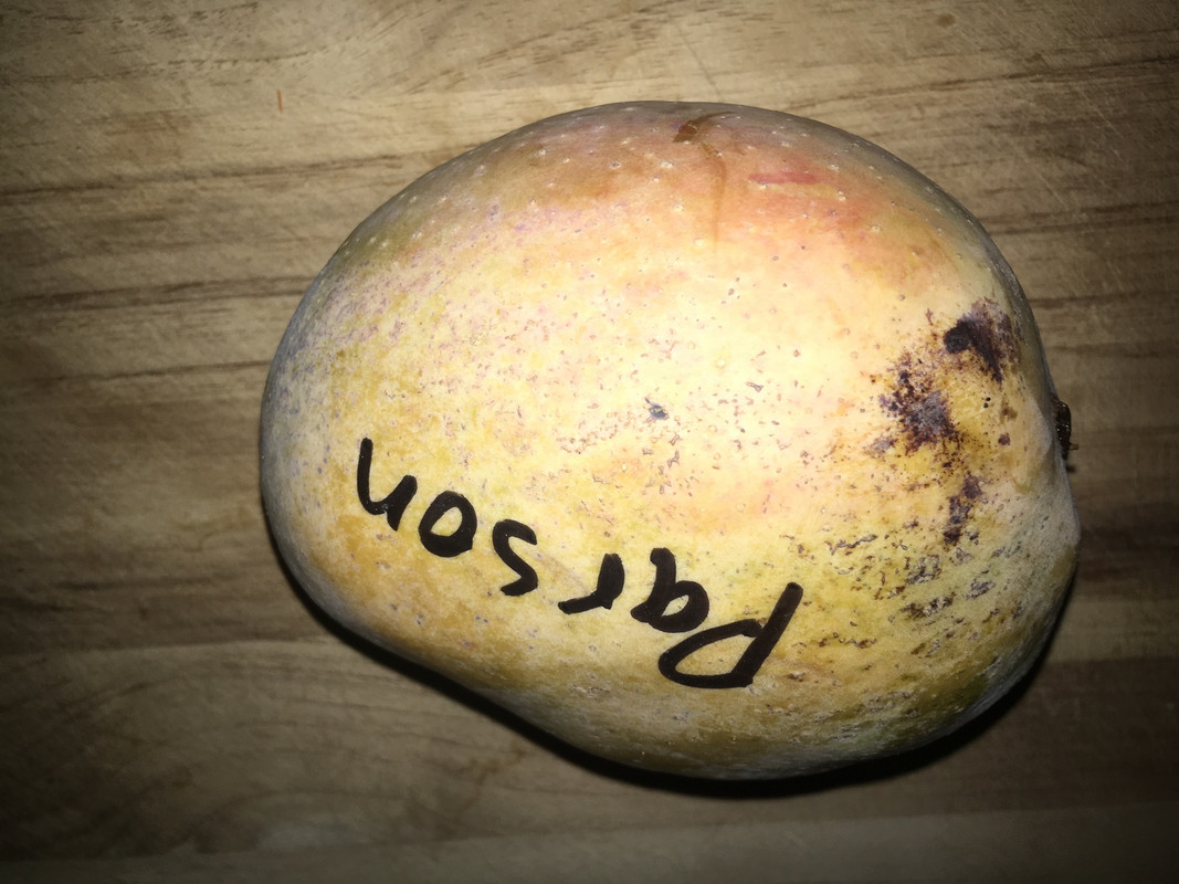 DBDADBF0-254C-4CBF-971C-C03CDEF60867