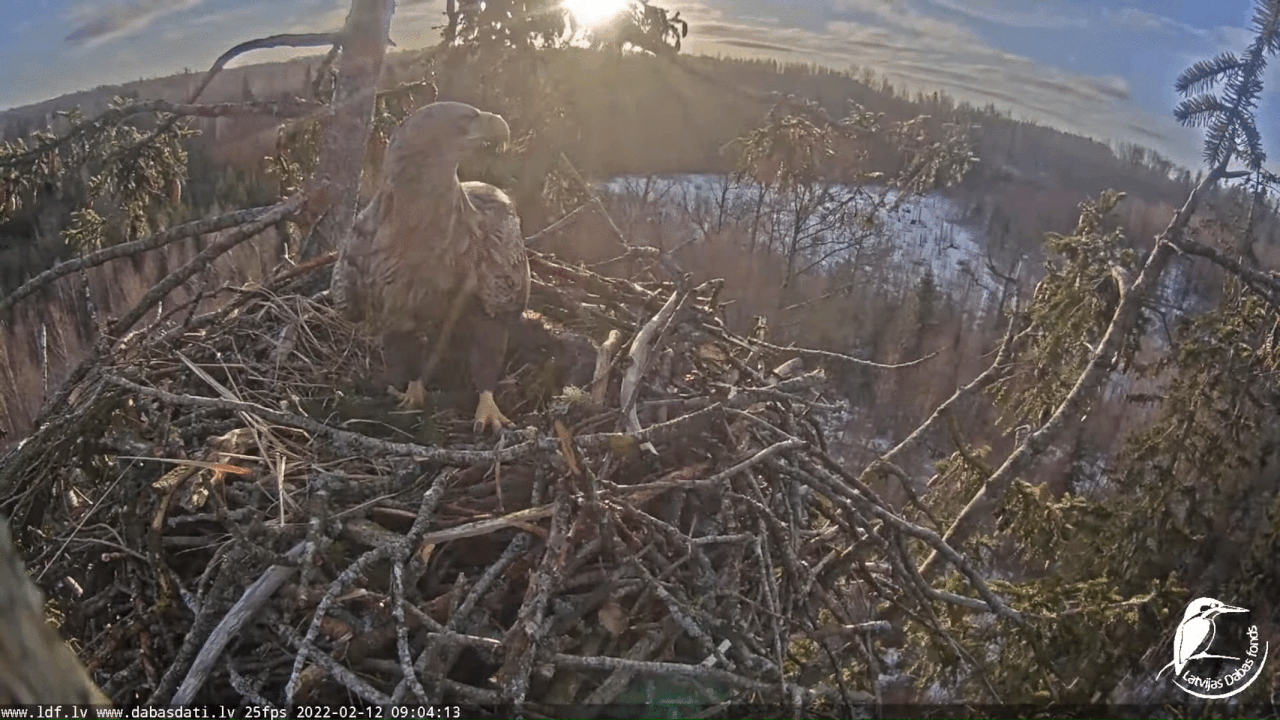 Webp.net-gifmaker (7)