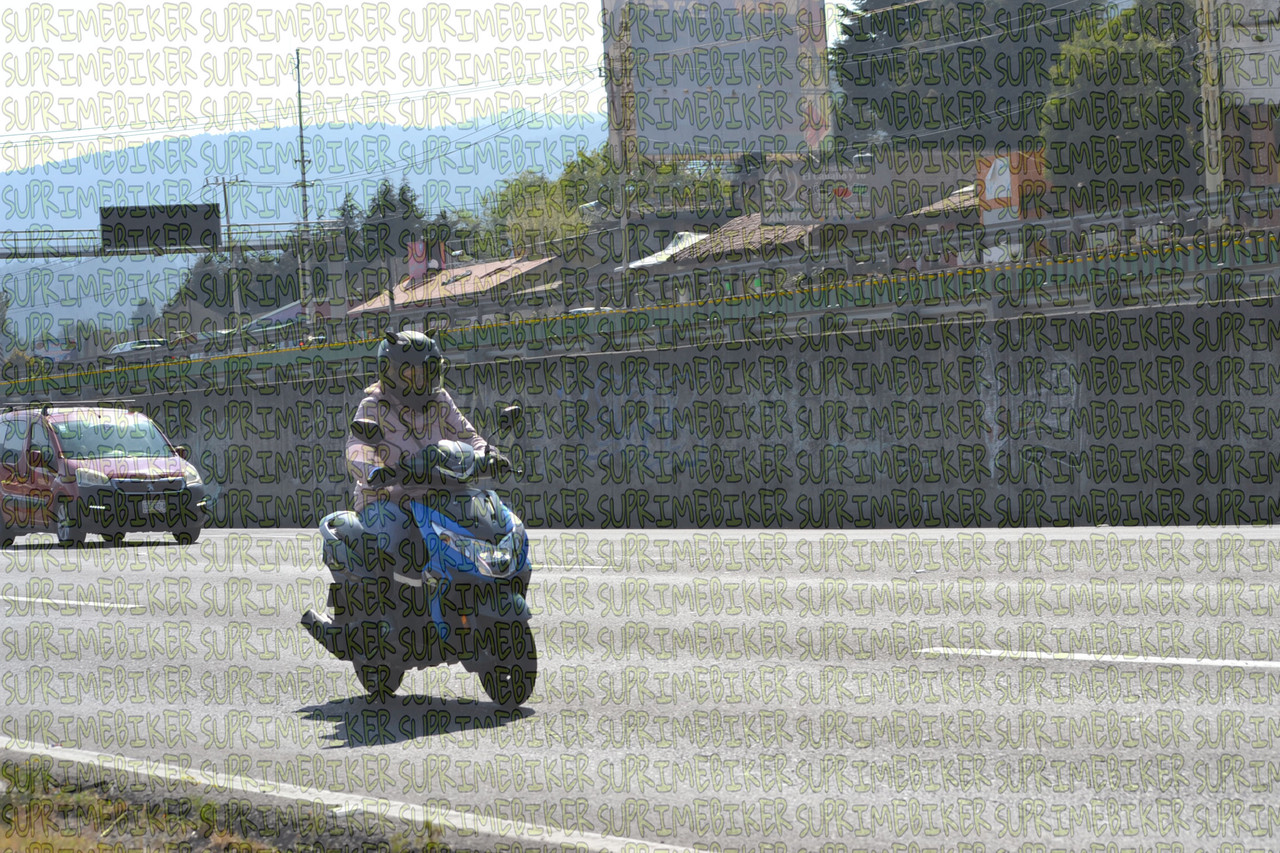 DSC 0006