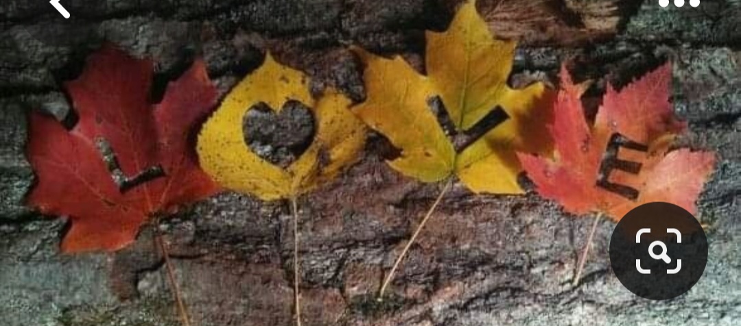 Screenshot_20231112_232016_Pinterest