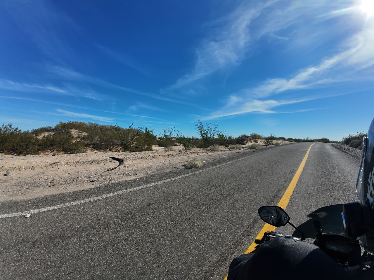 DJI 20251111114723 0050 D