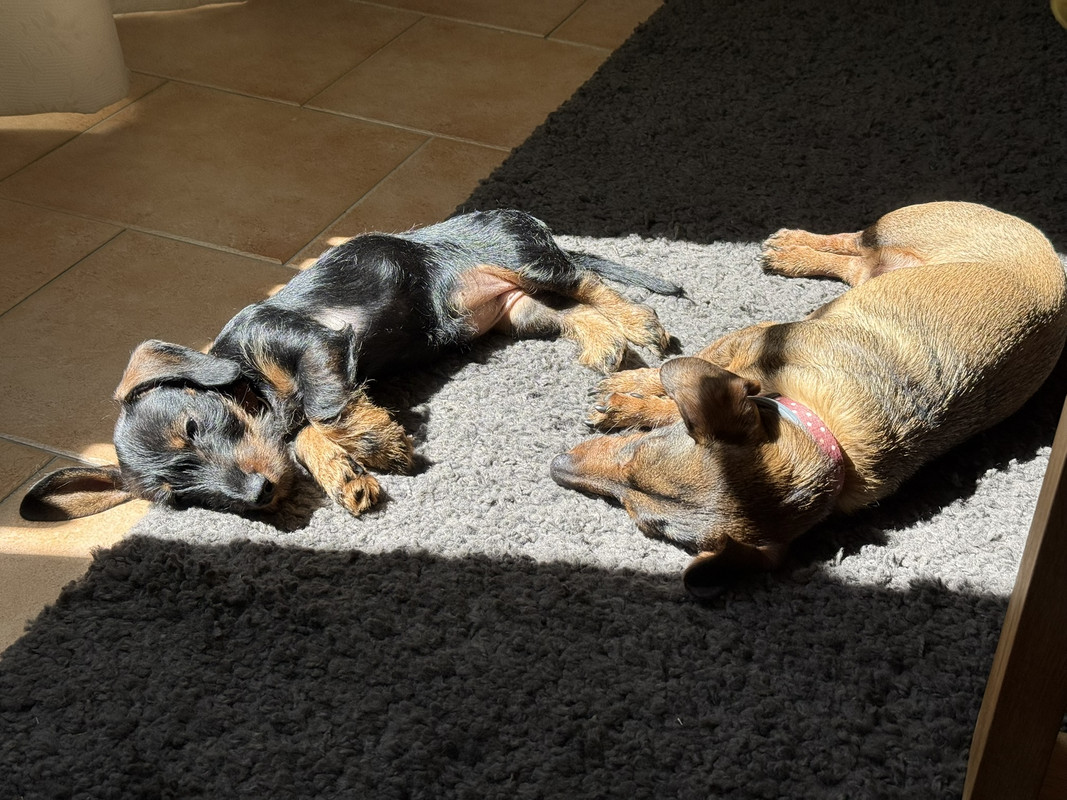 [Image: IMG-2665.jpg]