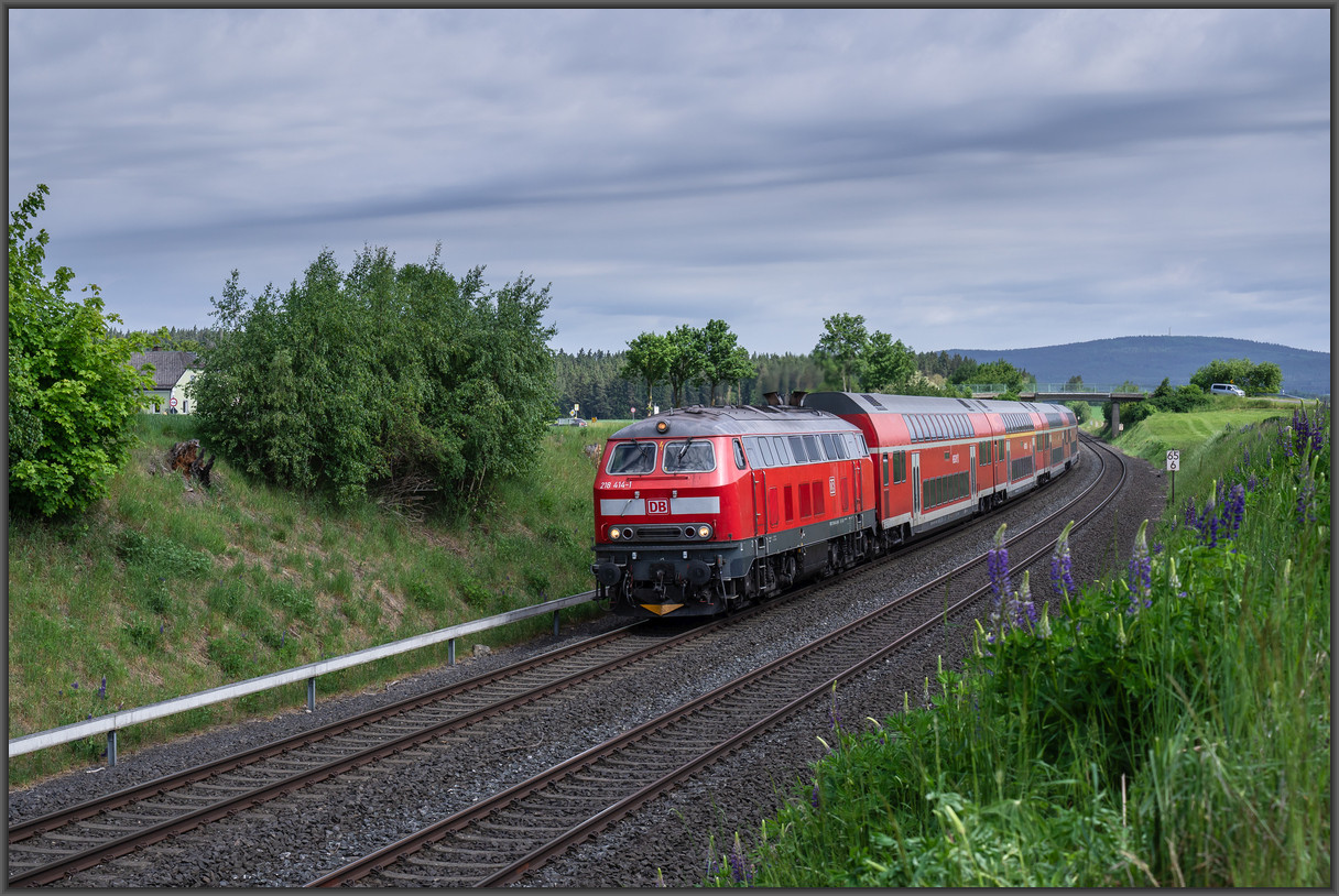 20260530 DSC0998