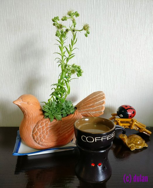 [Image: IMG-20240618-143435.jpg]