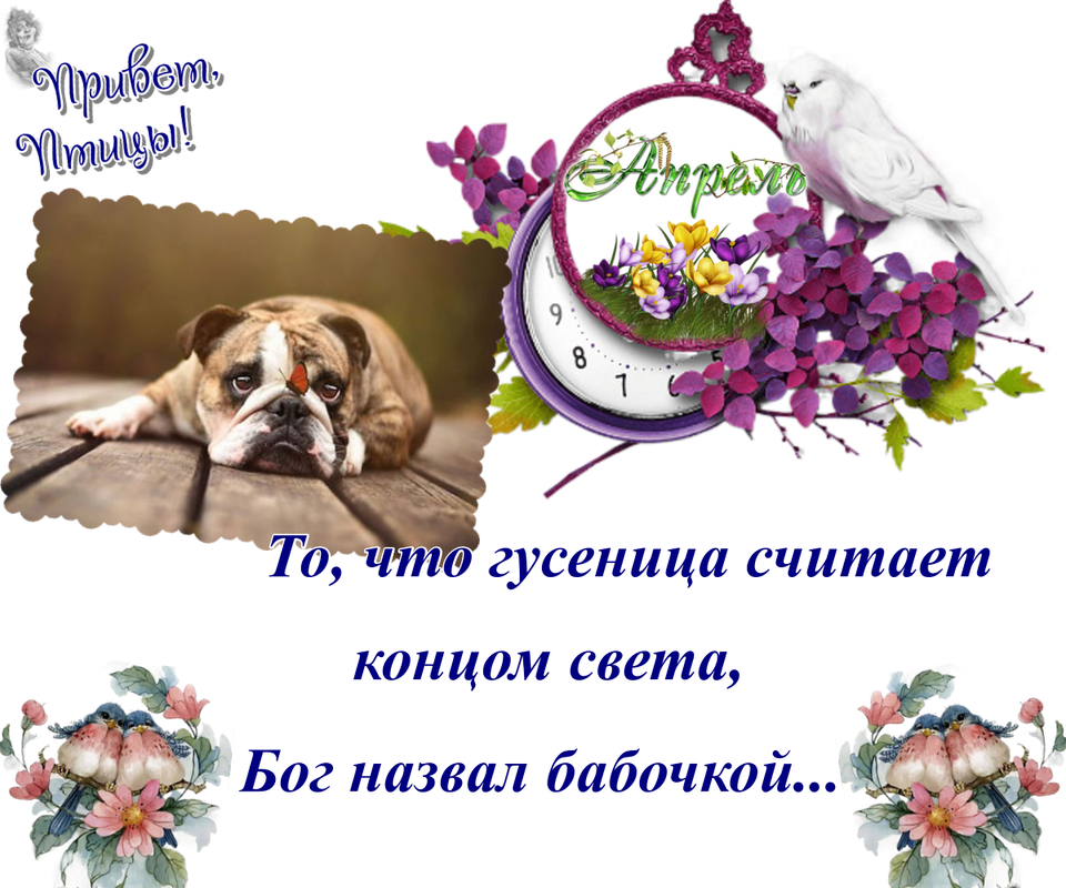 https://i.postimg.cc/HkvsgZRG/27-04.png