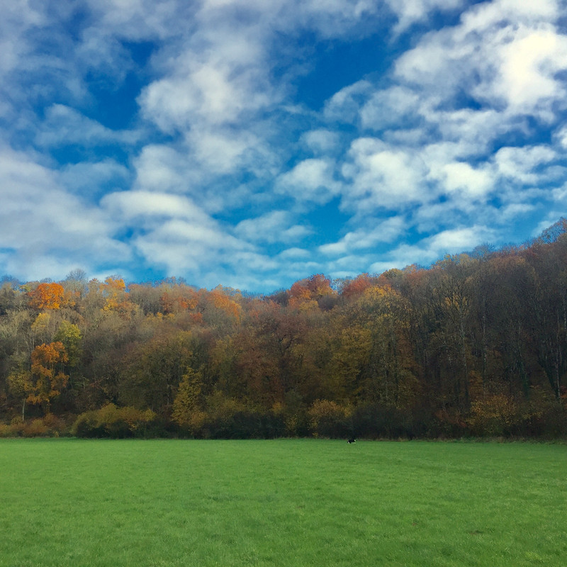 12C49066-AD06-47A4-B43F-ED20D9C90203