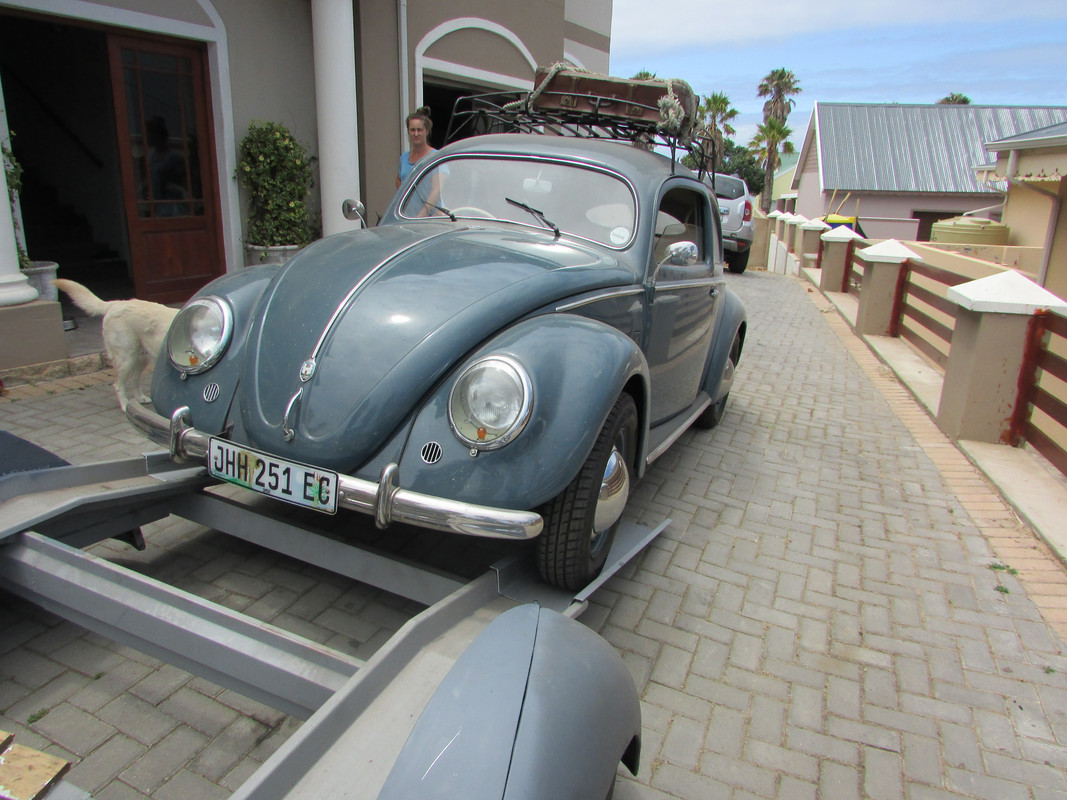 MeFusco Beetle fit test (14)