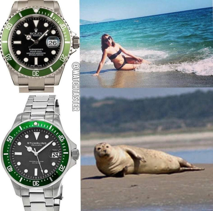 D5AF6886-7C1A-47D9-9A2F-0A0C0E551FA5